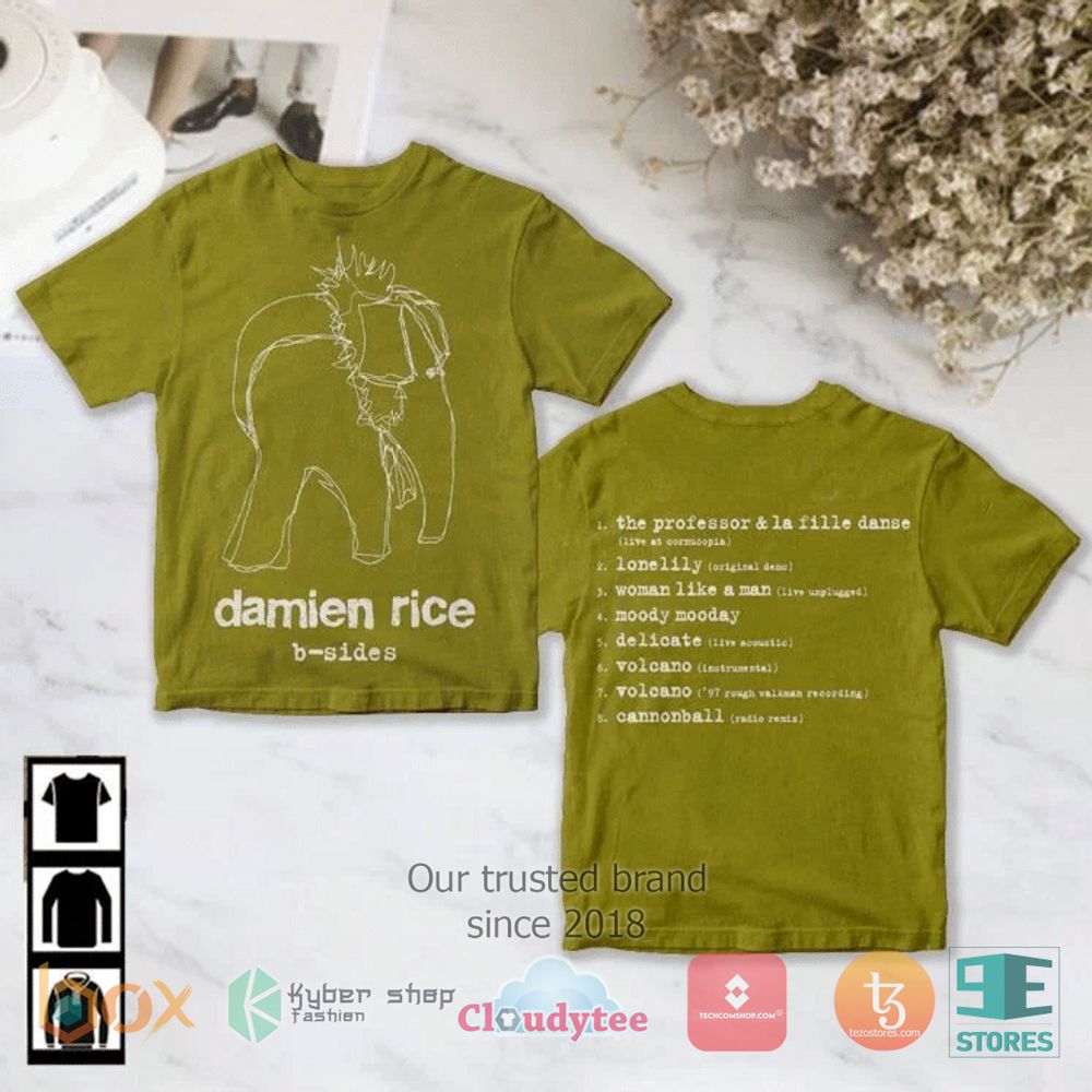 HOT Damien Rice B-Sides T-Shirt 2