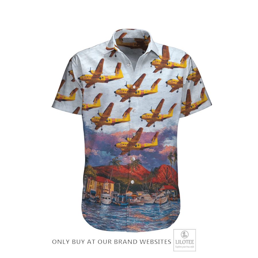 Top 200+ cool Hawaiian shirt and shorts for summer 55