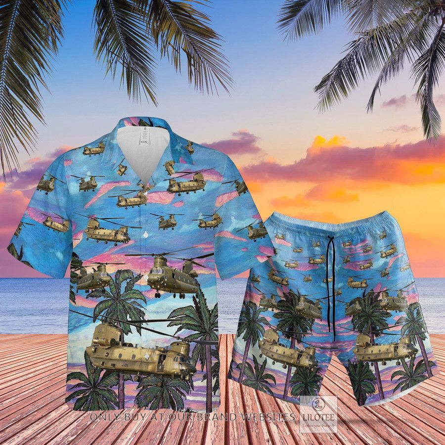 Royal Air Force Boeing Chinook Hawaiian Shirt, Beach Shorts 29